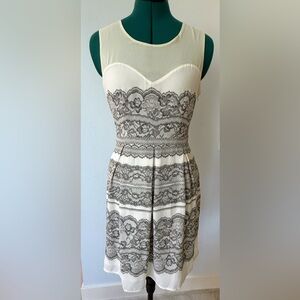 Skies Are Blue Cream and Gray Lace Dress